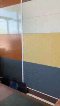 Colors steel Coil（ Color steel）